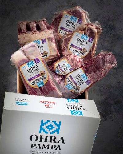 Exclusive Box Singularidad